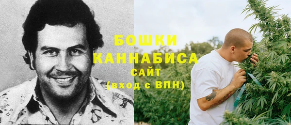 крисы Верея